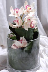  zmir ieki kaliteli taze ve ucuz iekler  Cam yada mika vazo ierisinde tek dal orkide