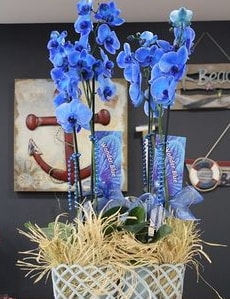 4 dall zel mavi orkide  zmir ieki gvenli kaliteli hzl iek 