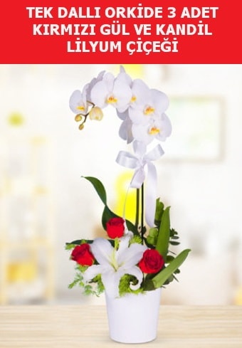 Tek dall orkide 3 gl ve kandil lilyum  zmir ieki iek siparii vermek 
